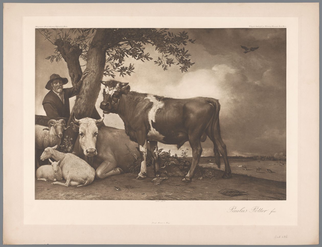 Reproducción fotográfica de la pintura El toro de Paulus Potter, coll. Mauritshuis 1904 - núm. 54. / Königl. Museo de La Haya (título de la serie) de Anonymous