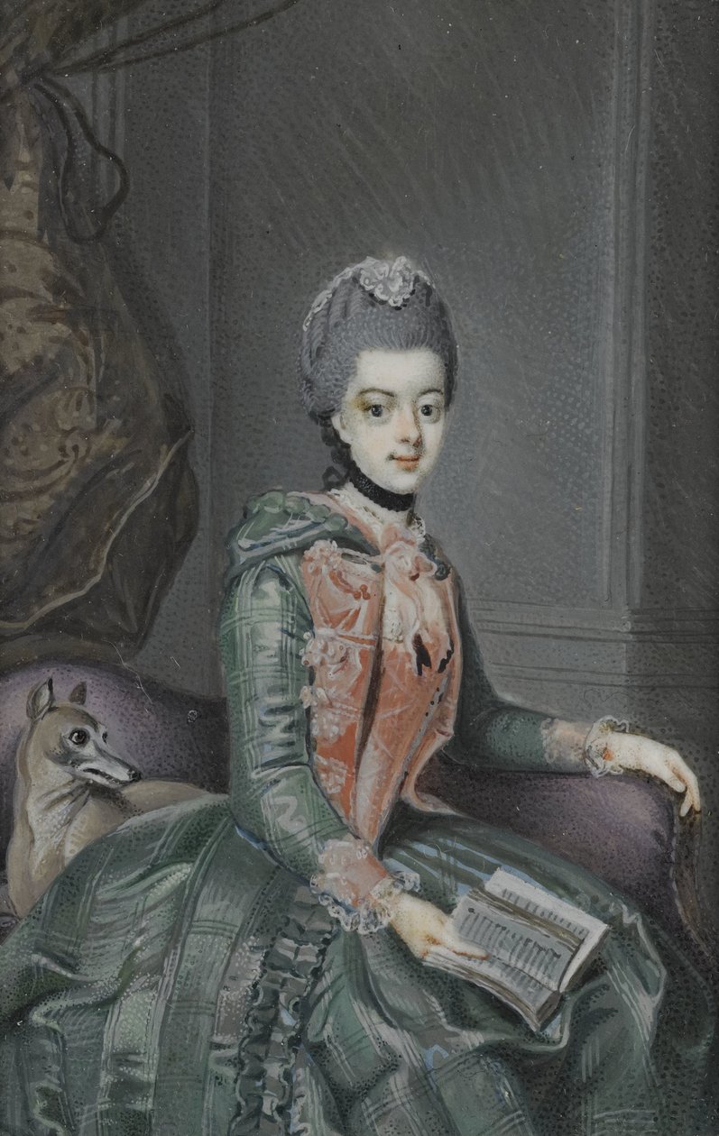 Frederika Sophia Wilhelmina (1751-1820), princesa de Prusia. Esposa del Príncipe Guillermo V de Anonymous