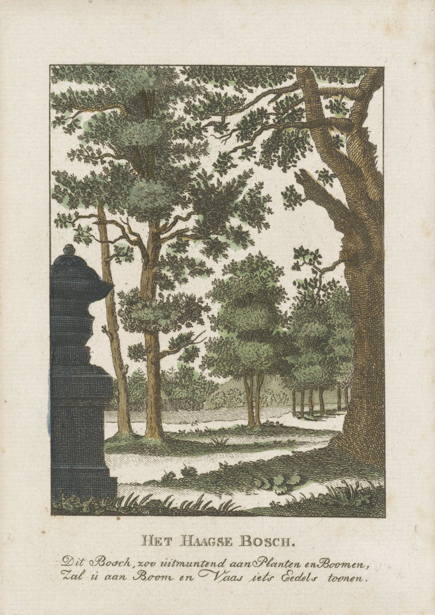 Bosque de La Haya de Anonymous