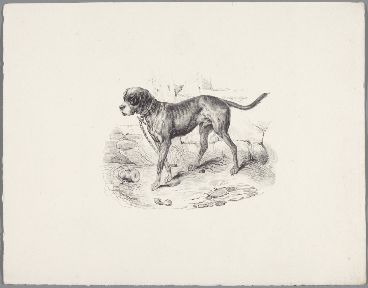 perro en una cadena Seis estudios con animales pequeños (título de la serie) Seis pequeños estudios de bestias (título de la serie sobre el objeto) de Anonymous