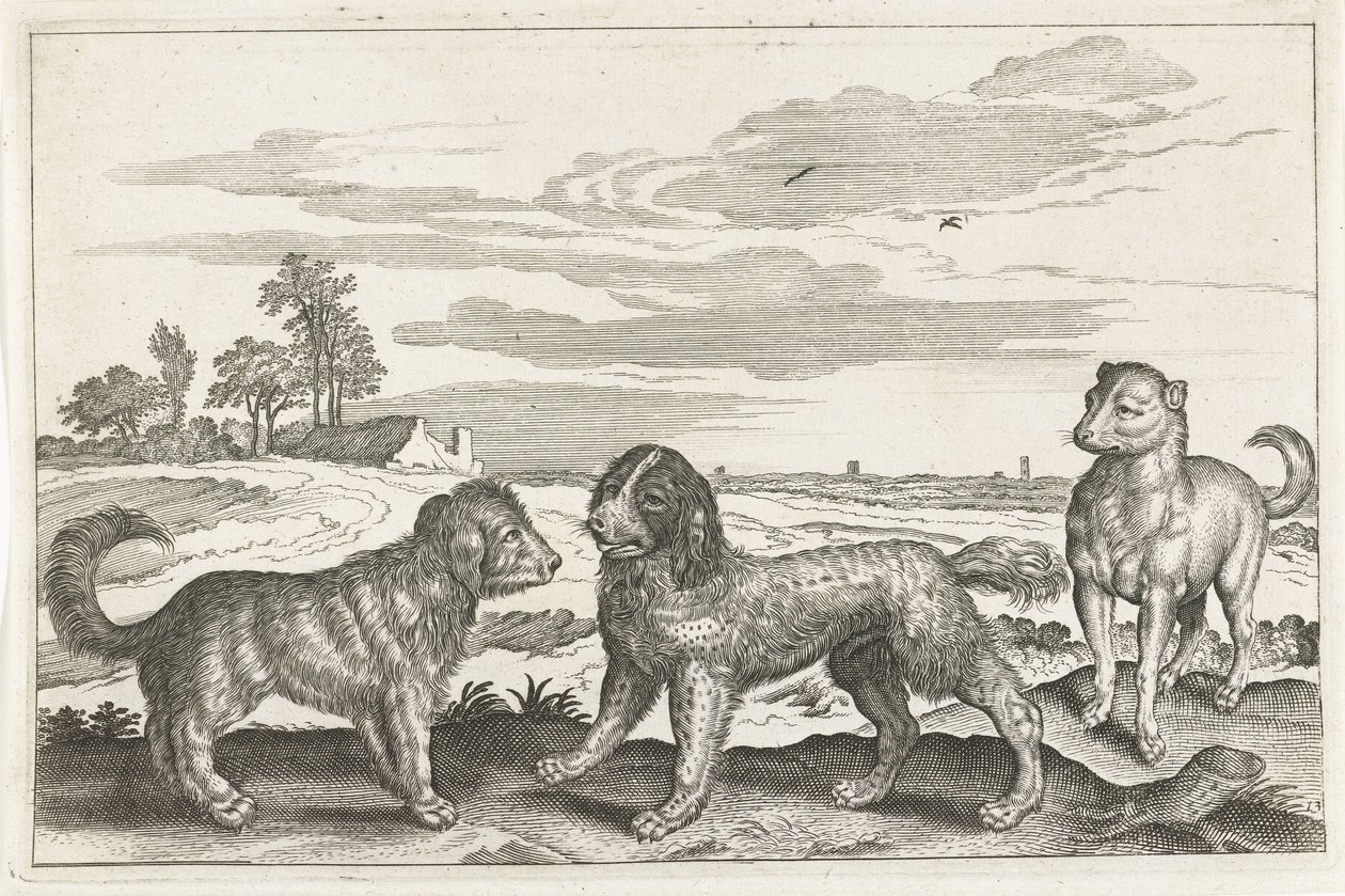 perros Animales de cuatro patas (título de la serie) Animalivm Qvaddrvpedvm (título de la serie) de Anonymous