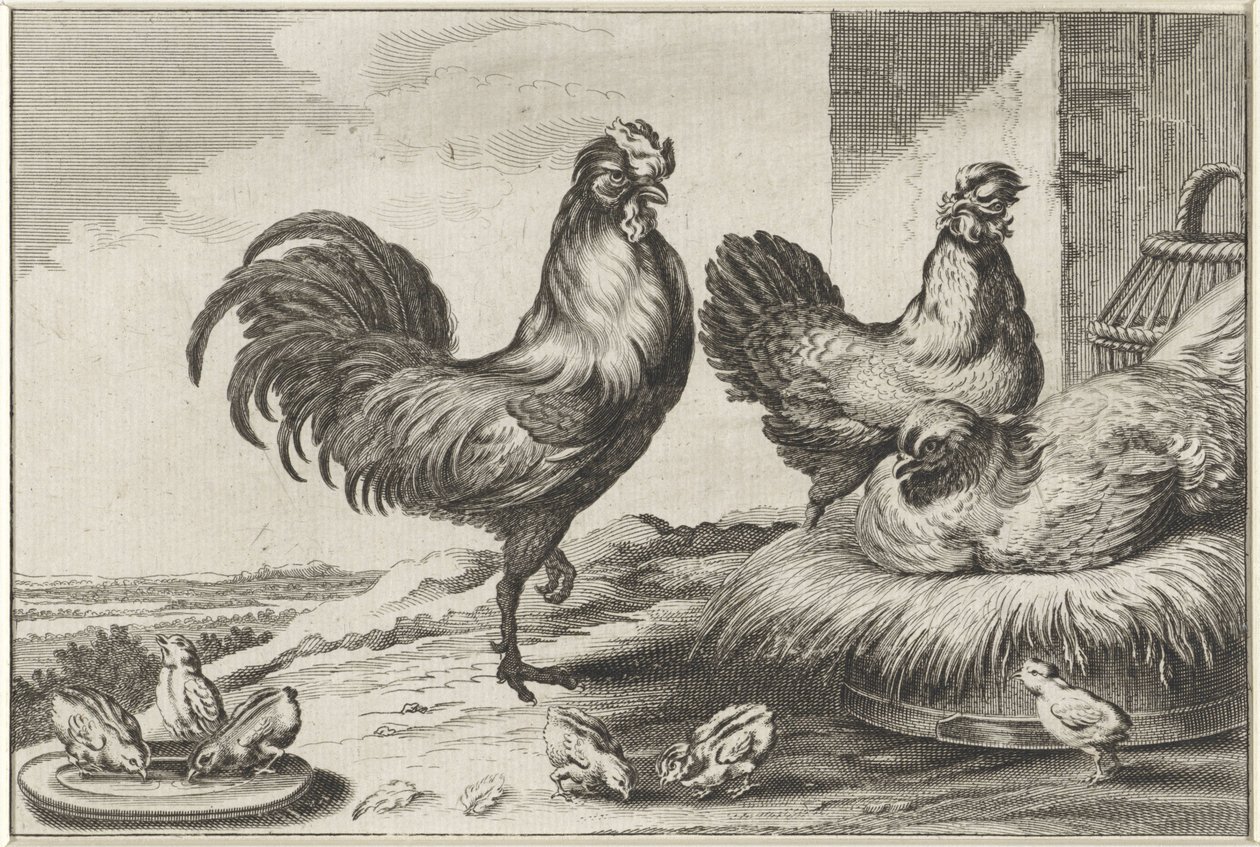 Gallina, gallos y pollitos Especies de Diversae avium (título de la serie) Aves diferentes (título de la serie) de Anonymous
