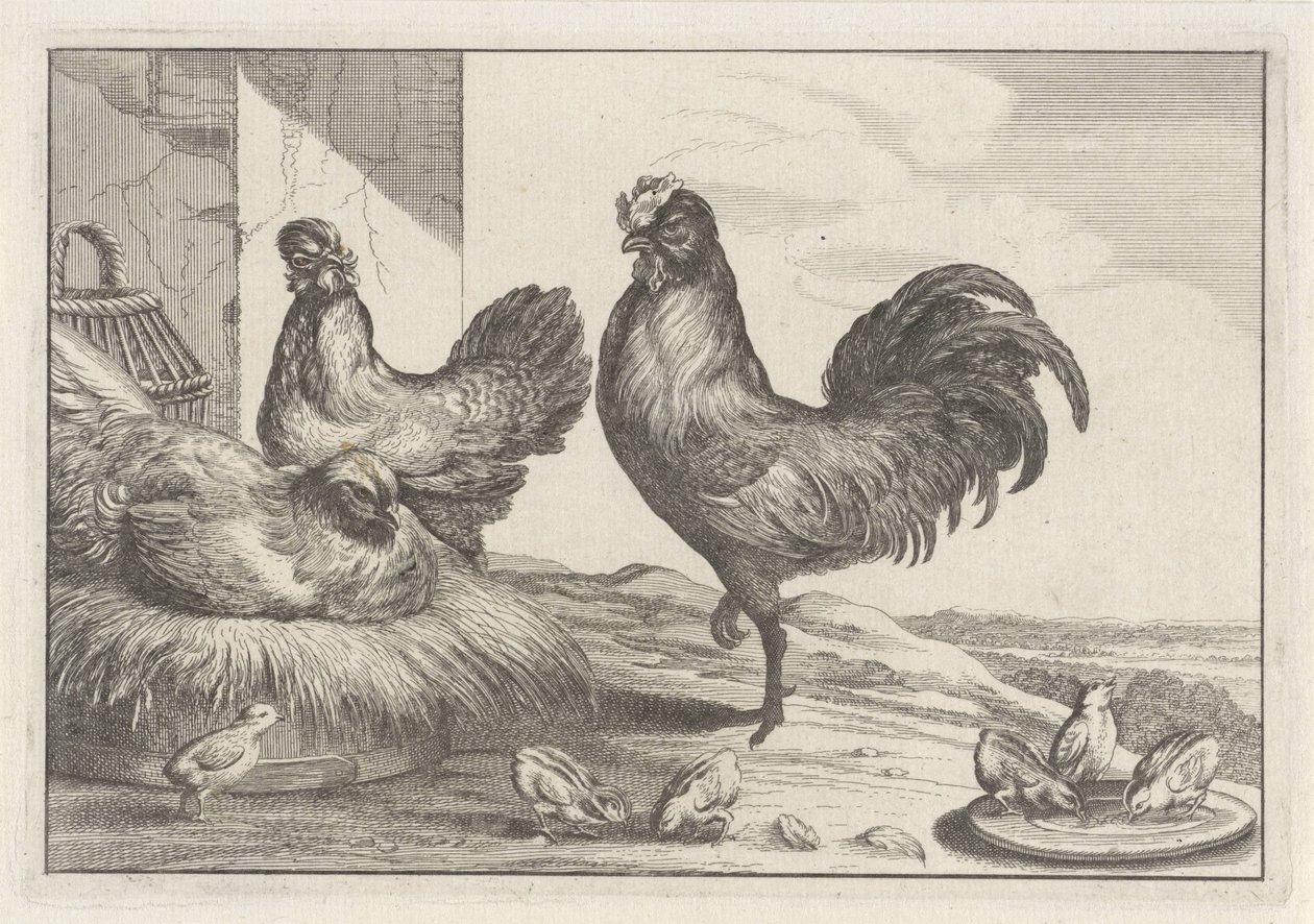 Gallina, gallos y pollitos Especies de Diversae avium (título de la serie) Aves diferentes (título de la serie) de Anonymous