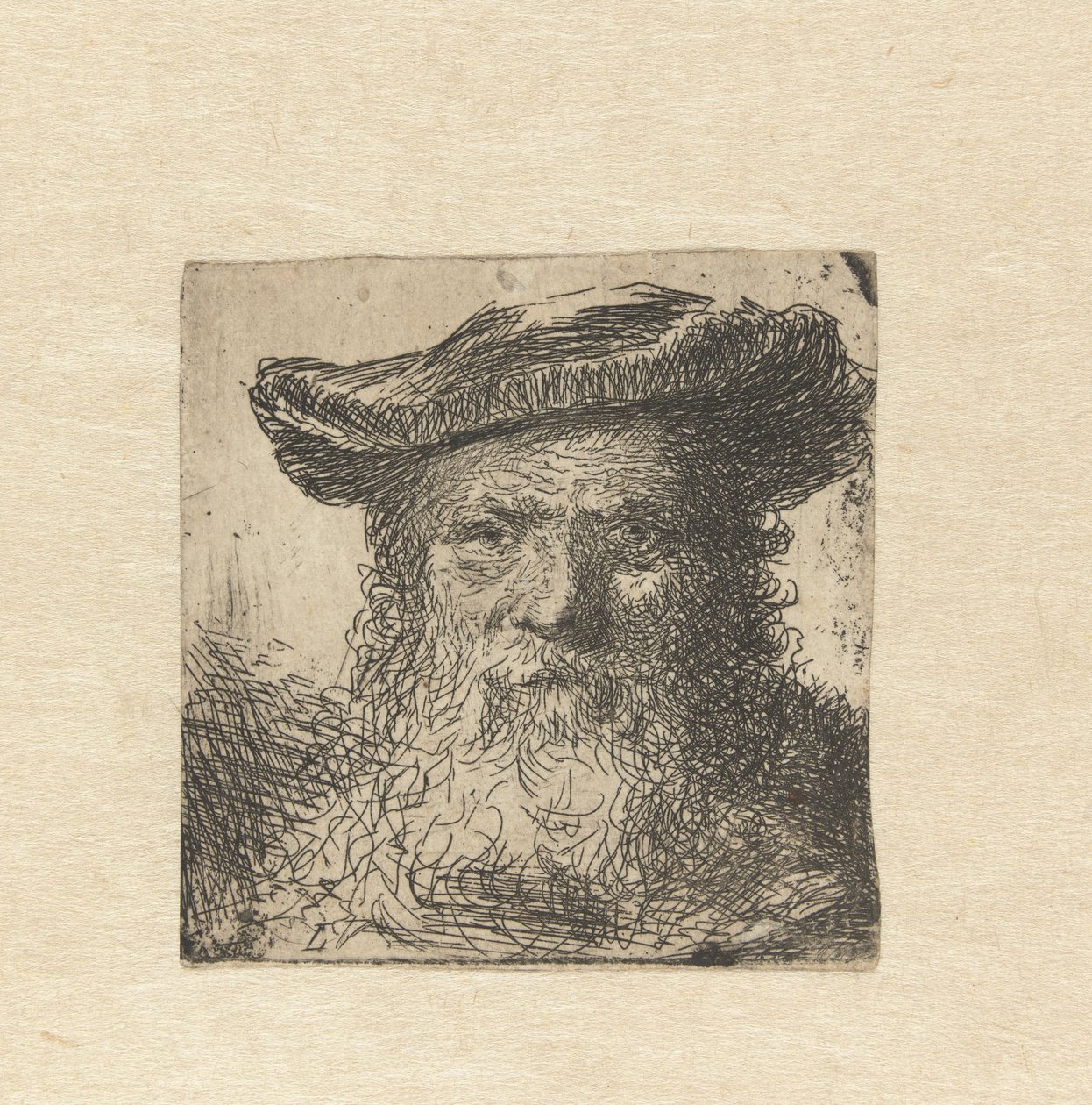 Cabeza de un anciano con barba y sombrero de Anonymous