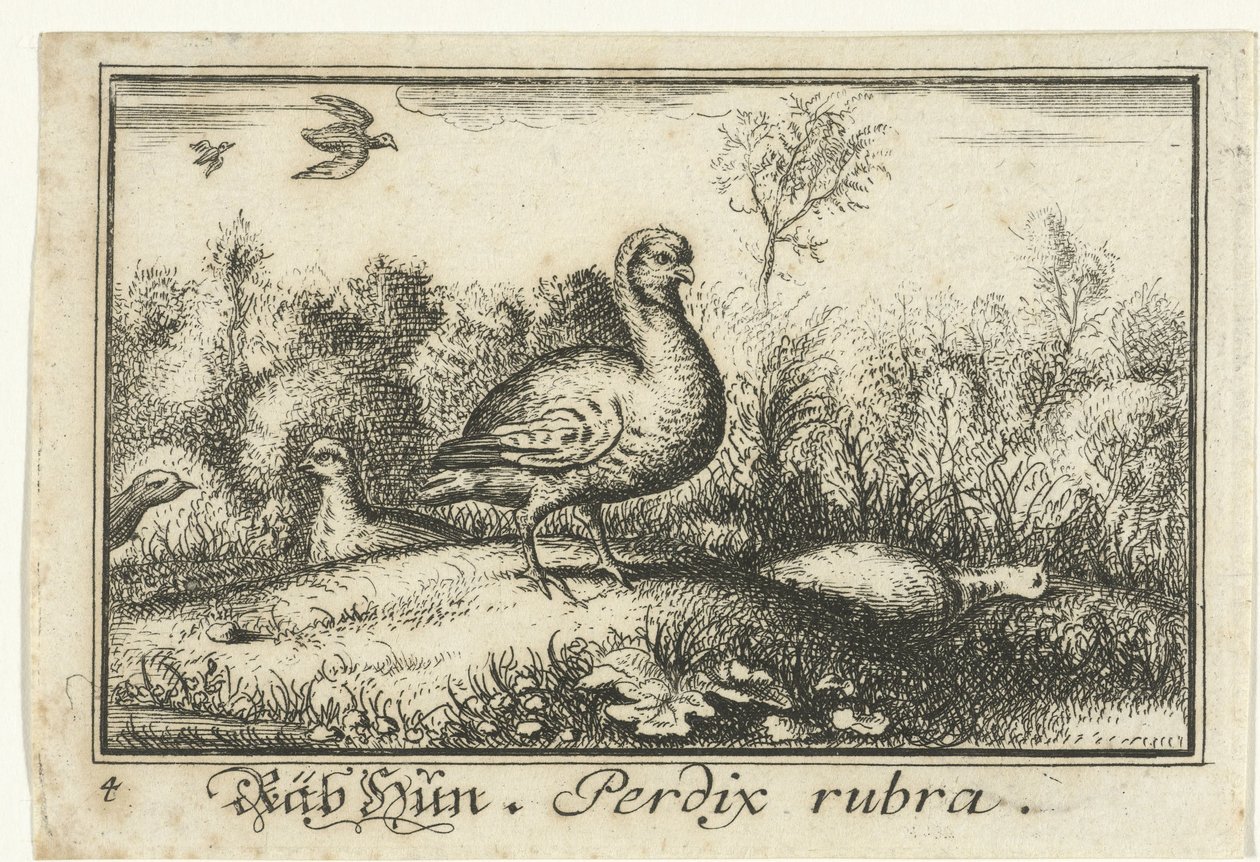 Paisaje con perdices Rab Hun, Perdix rubra. (título en el objeto) de Anonymous