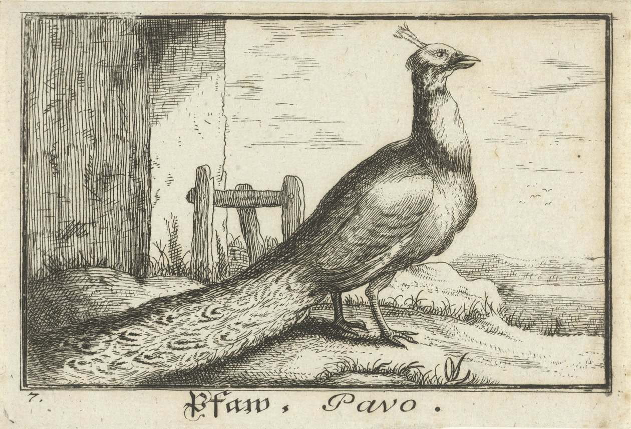 paisaje con pavo real Pfaw, Pavo (título sobre objeto) de Anonymous