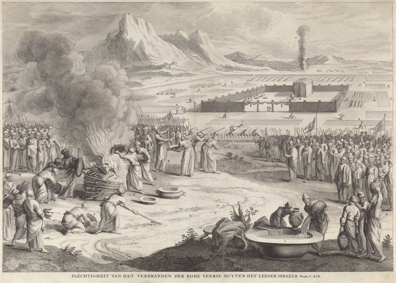 Sacrificio de una vaca roja por los israelitas Solemnidad de la Quema de las Plumas Rojas Buyten the Emptyer Israels (título sobre el objeto) de Anonymous