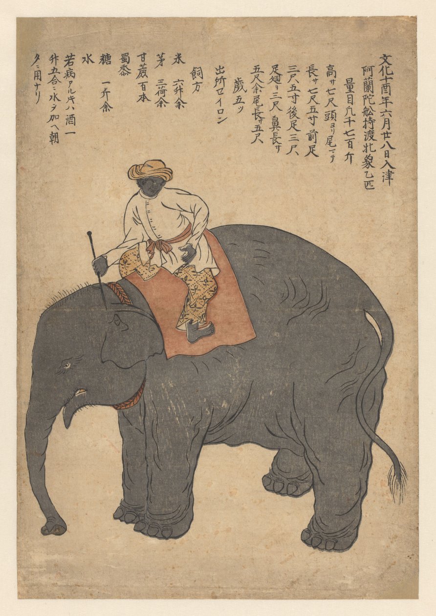 Elefante traído por un barco holandés en 1813 de Anonymous