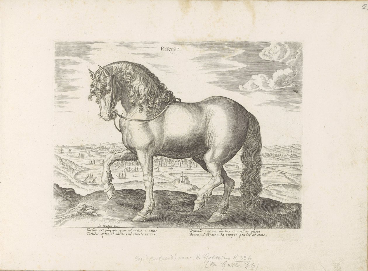 Paard envió a Frisia Phrysus (título sobre el objeto) Paardenrassen uit de Koninklijke stallen van Don Juan van Oostenrijk (título de la serie) Equile, en el que es el más noble de todos los tipos: un personaje distinguido de caballos de varias partes del  de Anonymous