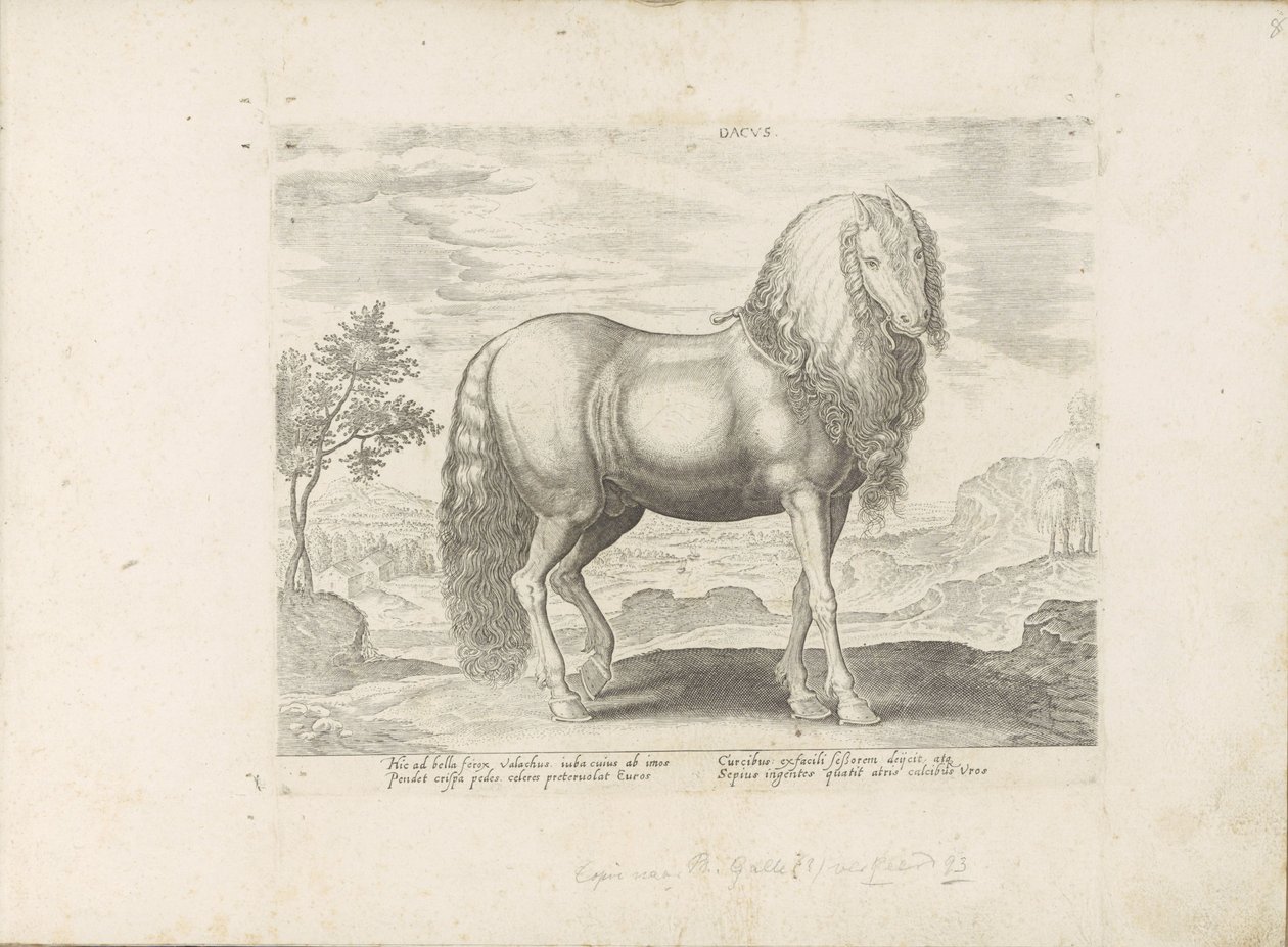 Paard envió a Roemenië (Dacus) Dacus (título sobre objeto) Paardenrassen uit de Koninklijke stallen van Don Juan van Oostenrijk (título de la serie) Un caballo, en el que se encuentra el más noble de todos los tipos: un personaje distinguido de caballos de de Anonymous