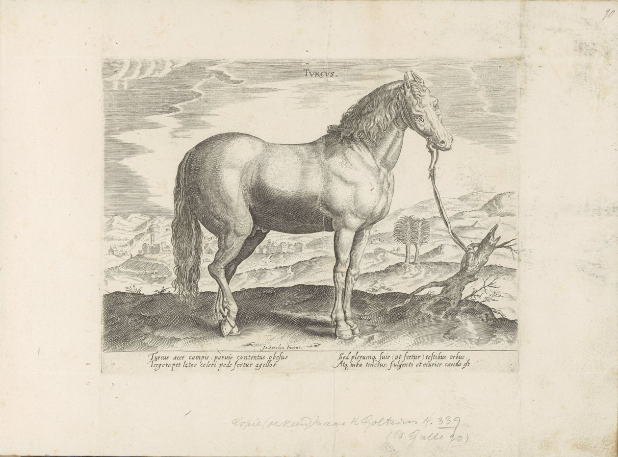 Paard envió a Turkije (título en el objeto) Paardenrassen uit de Koninklijke stallen van Don Juan van Oostenrijk (título de la serie) Un caballo, en el que se encuentra el más noble de todos los tipos: un personaje distinguido de caballos de varias partes  de Anonymous