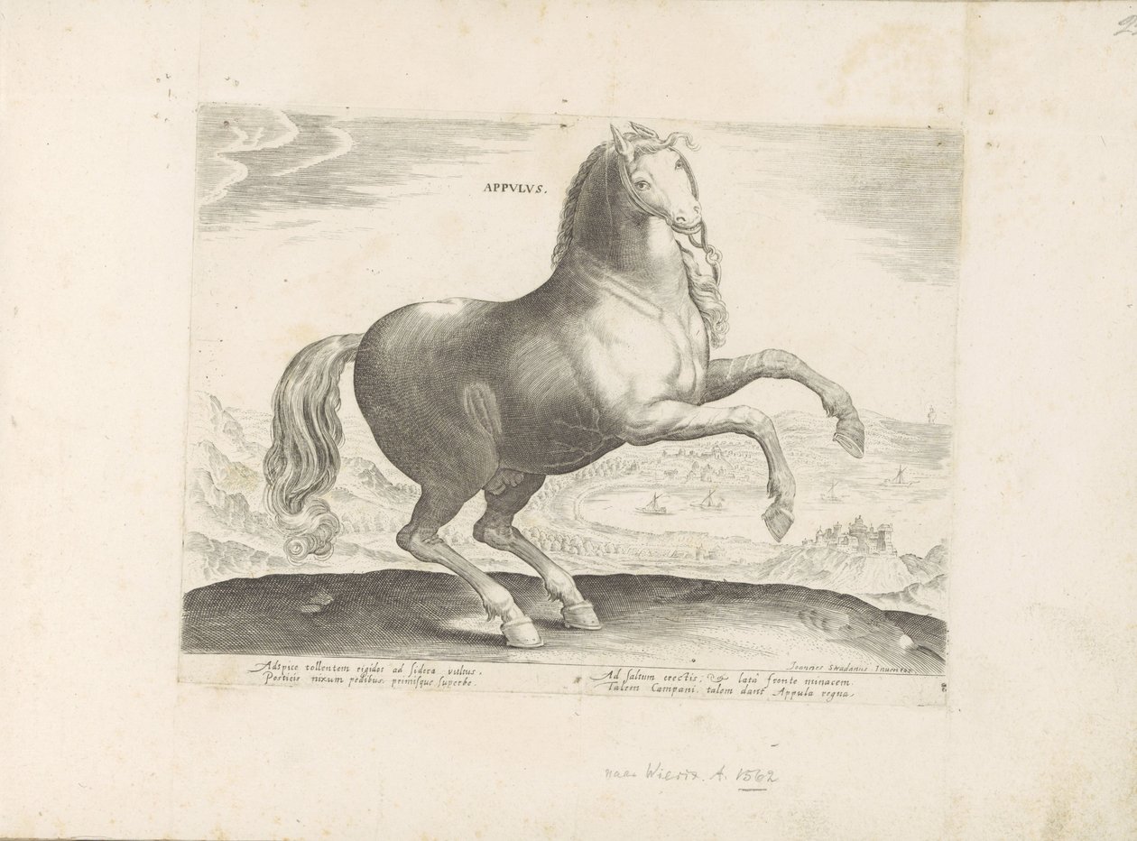Paard envió Zuid-Italië Appulus (título sobre el objeto) Paardenrassen uit de Koninklijke stallen van Don Juan van Oostenrijk (título de la serie) Un caballo, en el que se encuentra el más noble de todos los tipos: un personaje distinguido de caballos de v de Anonymous