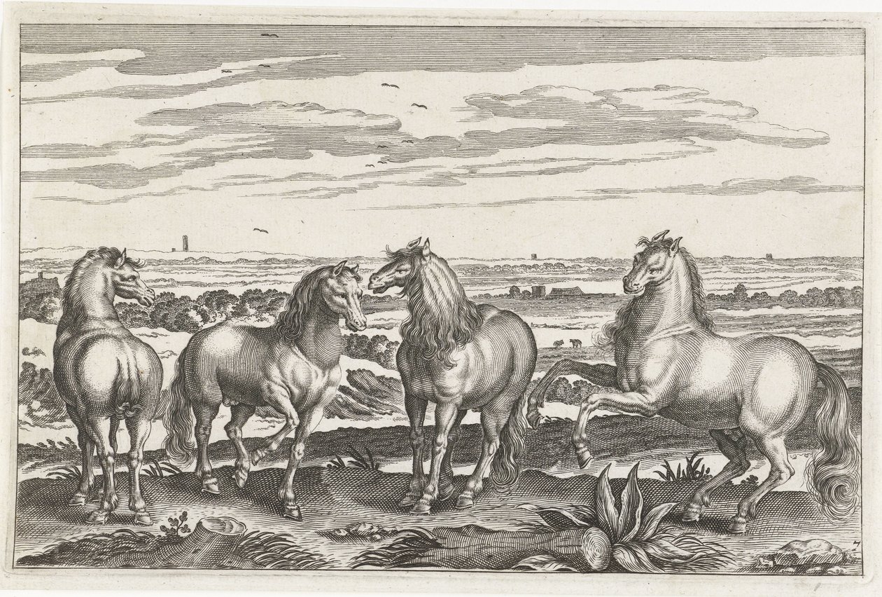 Caballos Animales de cuatro patas (título de la serie) Animalivm Qvaddrvpedvm (título de la serie) de Anonymous