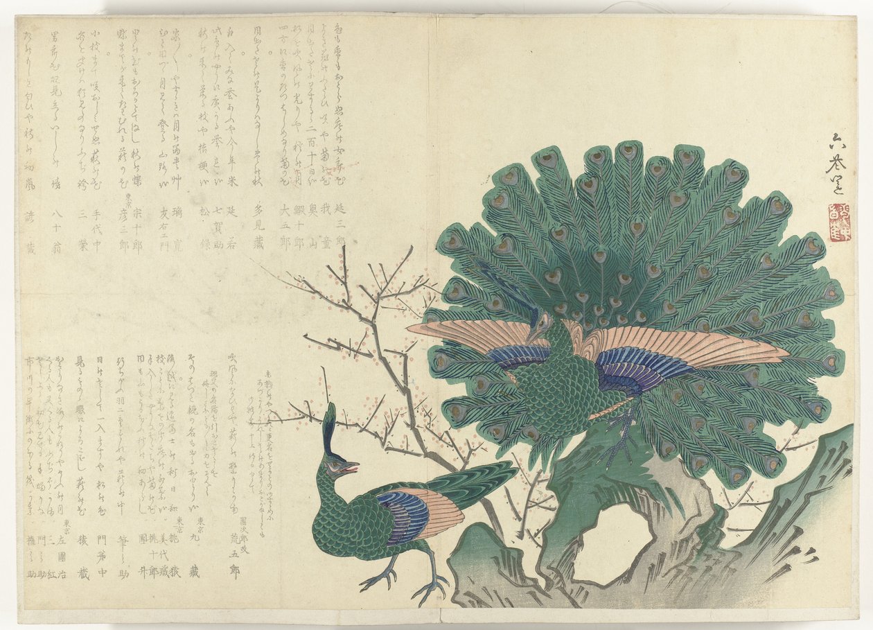Pavos reales
Álbum Shijo-surimono del periodo 1840-1900 (título de la serie) de Anonymous