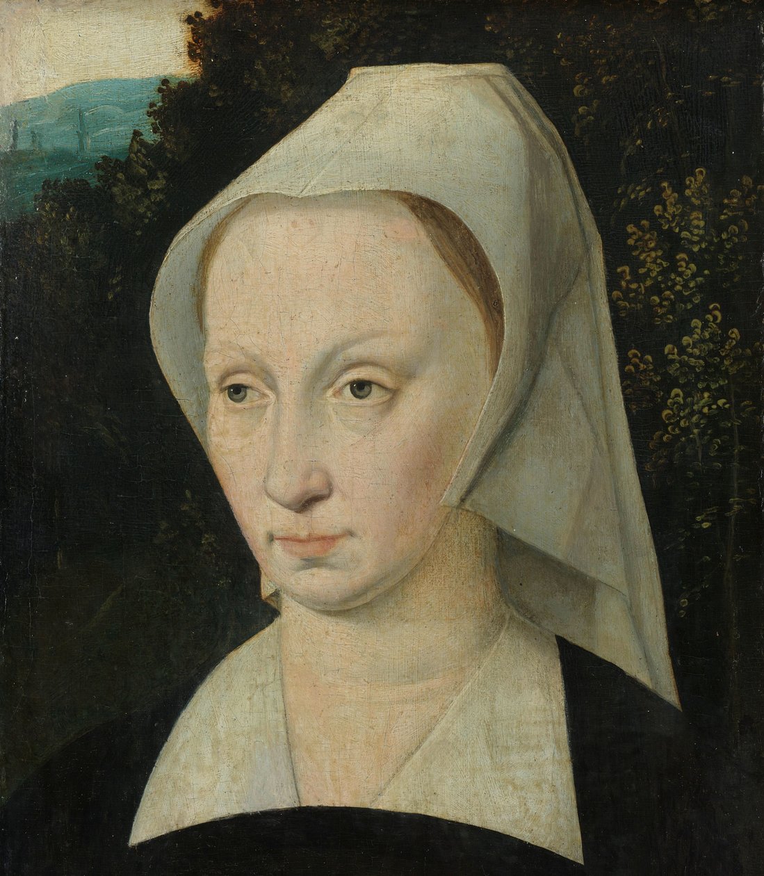 Retrato de una mujer de Anonymous