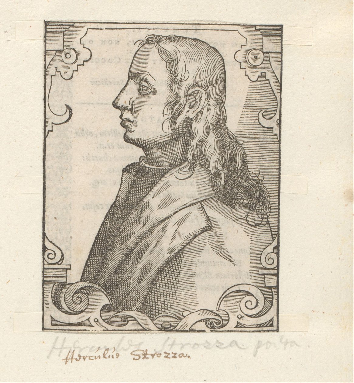 Portret de Ercole Strozzi de Anonymous