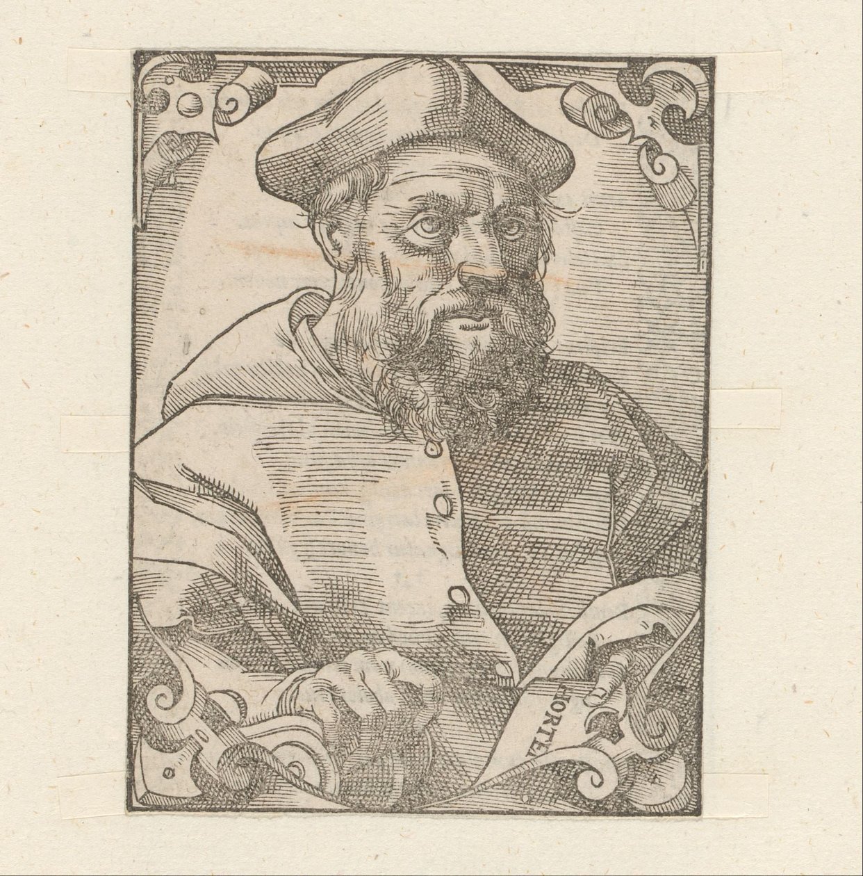 Portret de Jacopo Sadoleto de Anonymous