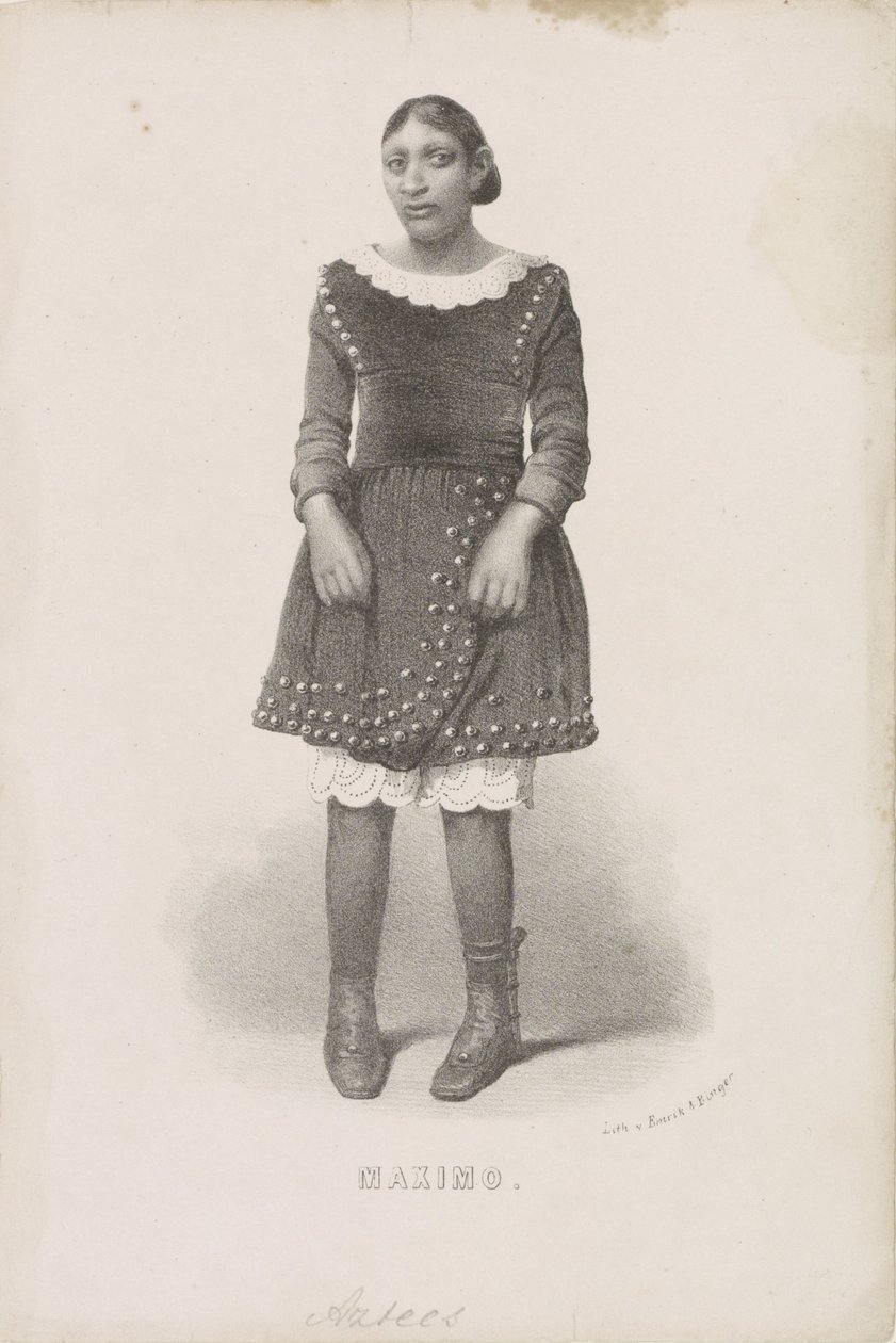 Portret van Máximo, 1857 Máximo (título sobre objeto) de Anonymous