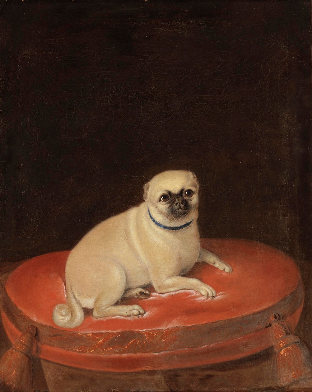 Pug de Anonymous