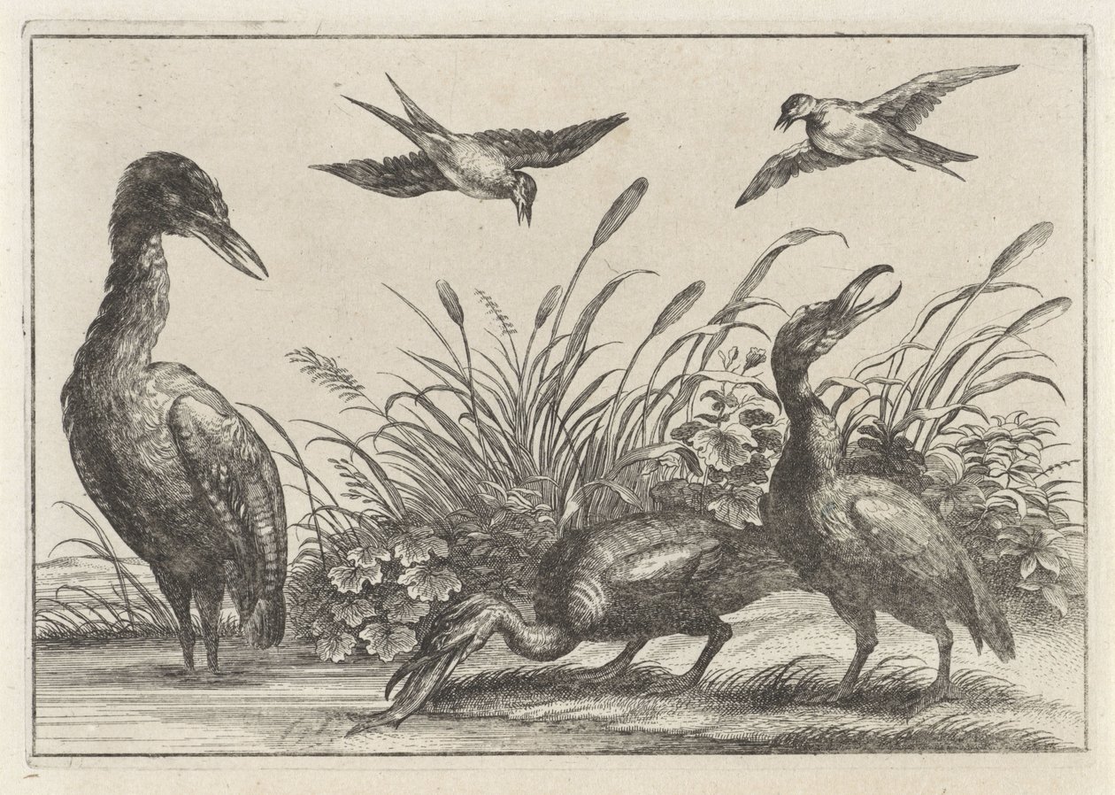 garzas y golondrinas de Anonymous
