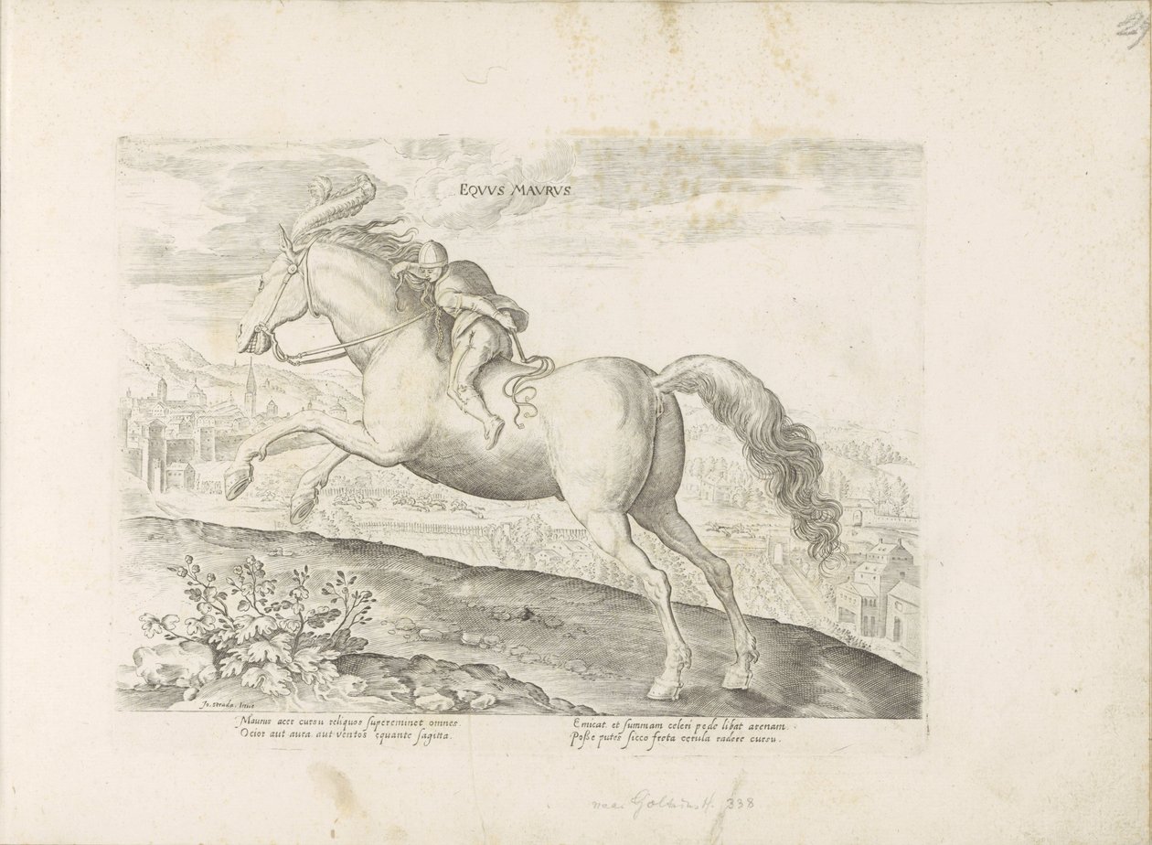 Renpaard conoció a ruiter Caballo (título sobre el objeto) Paardenrassen uit de Koninklijke stallen van Don Juan van Oostenrijk (título de la serie) Un caballo, en el que se encuentra el más noble de todos los tipos: un personaje distinguido de caballos de de Anonymous