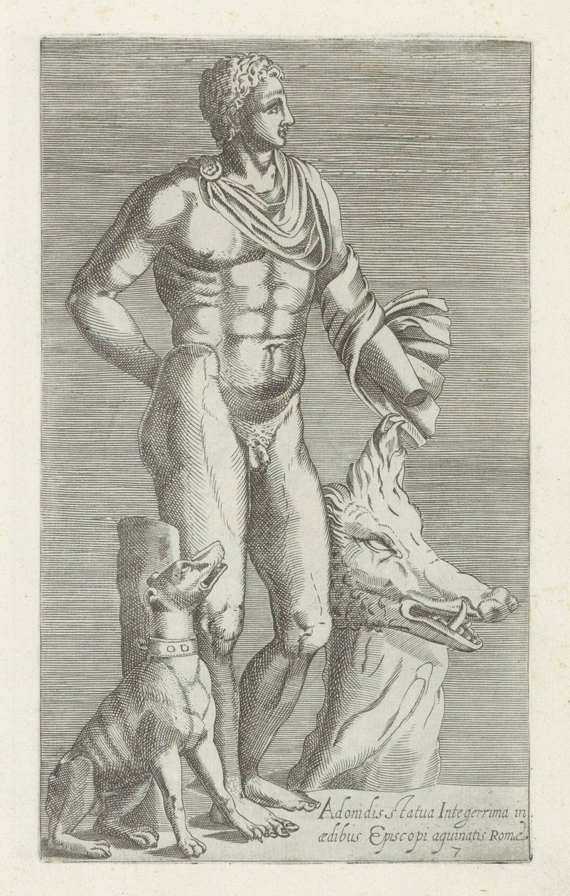 Sculptuur van Adonis met jahthond en kop van een everzwijn la estatua erguida de Adonis en la casa del obispo aguinato de Roma (título sobre el objeto) Antieke sculptn en Roma (título de la serie) icono de estatuas antiguas de la ciudad de Roma de Anonymous