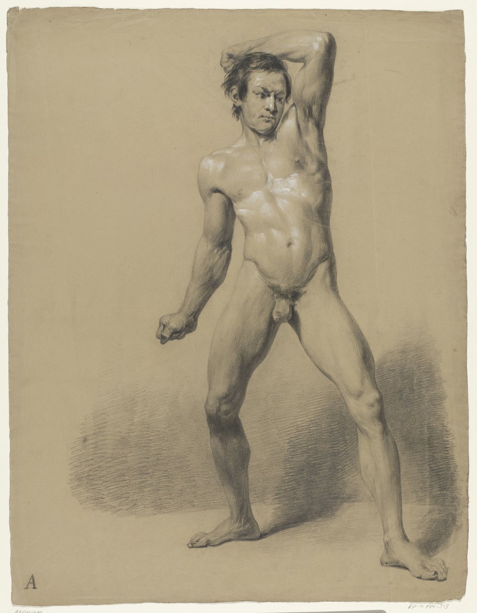 Desnudo masculino de pie con los puños cerrados de Anonymous