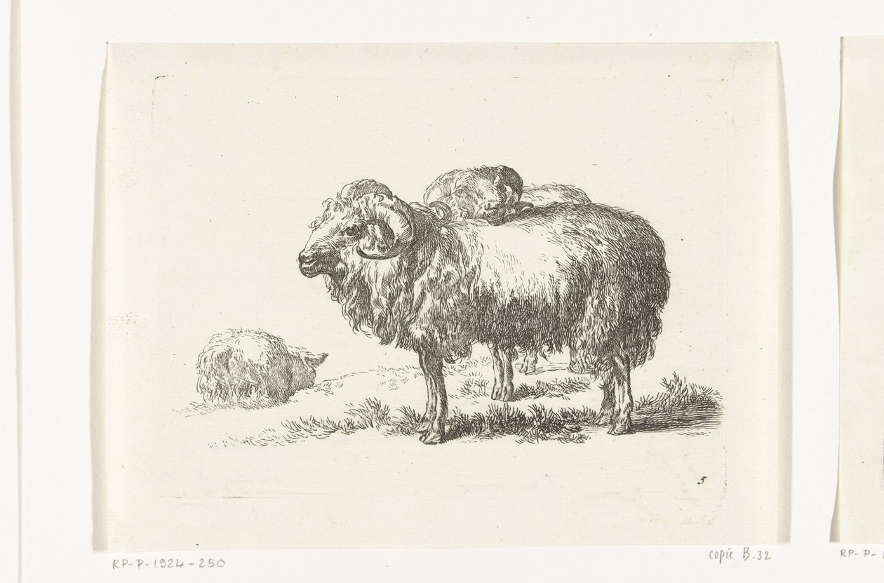 Dos cabras y una oveja mentirosa Cabras y ovejas a N.P. Berchem (título de la serie) de Anonymous