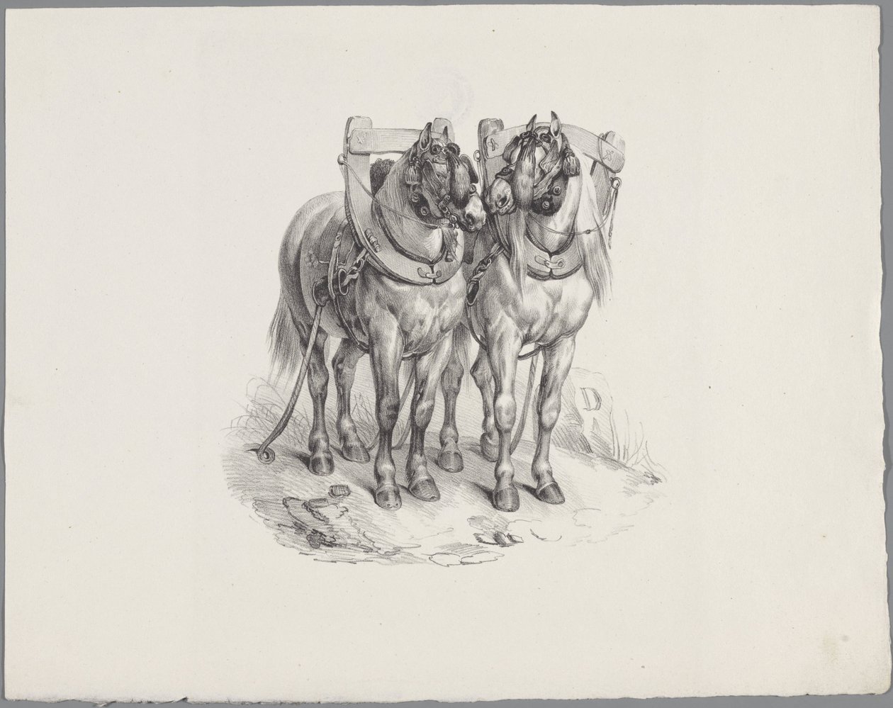 Dos caballos preparados Seis estudios con animales pequeños (título de la serie) Seis pequeños estudios de bestias (título de la serie sobre el objeto) de Anonymous