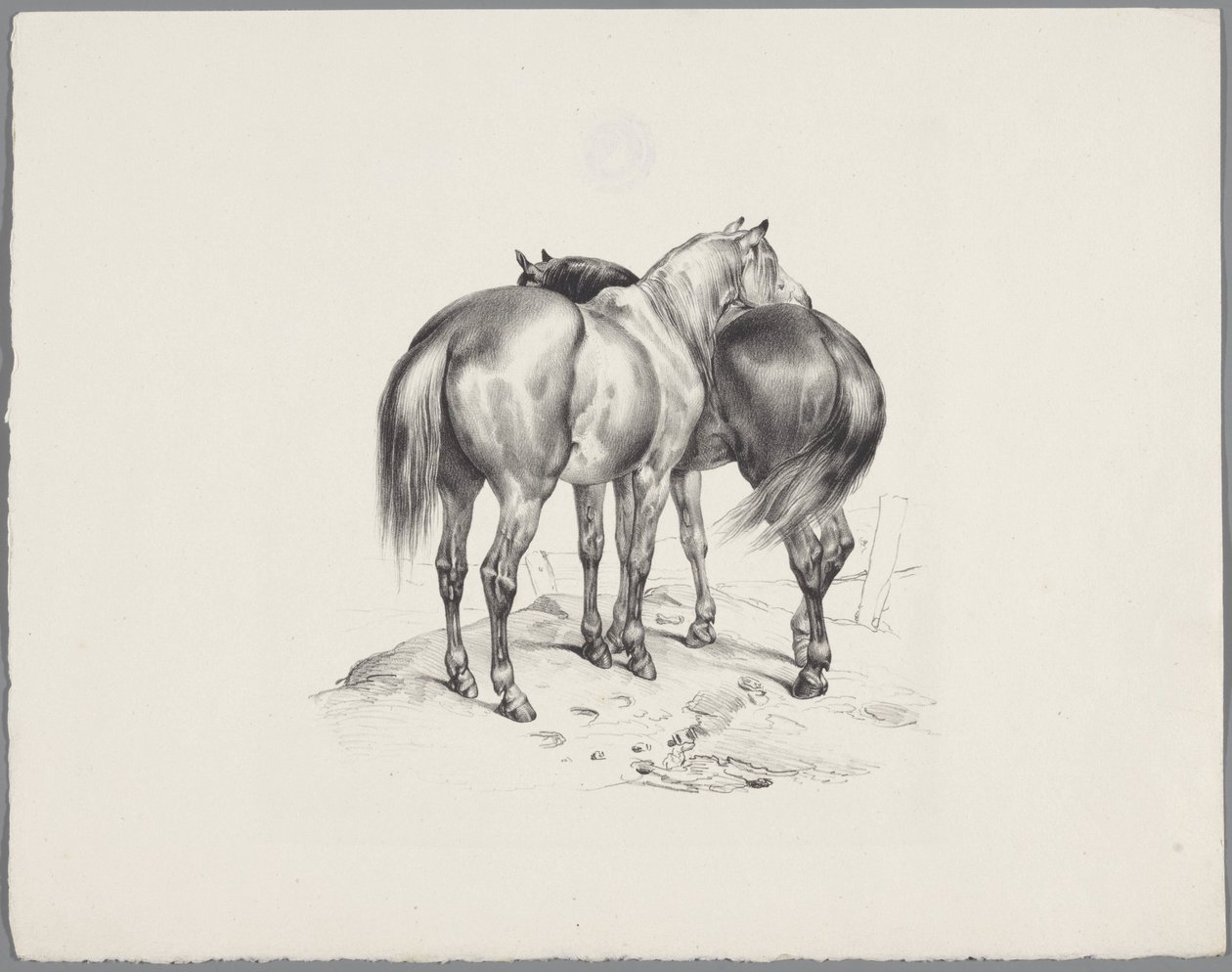Dos caballos vistos desde atrás Seis estudios con animales pequeños (título de la serie) Seis pequeños estudios de bestias (título de la serie sobre el objeto) de Anonymous