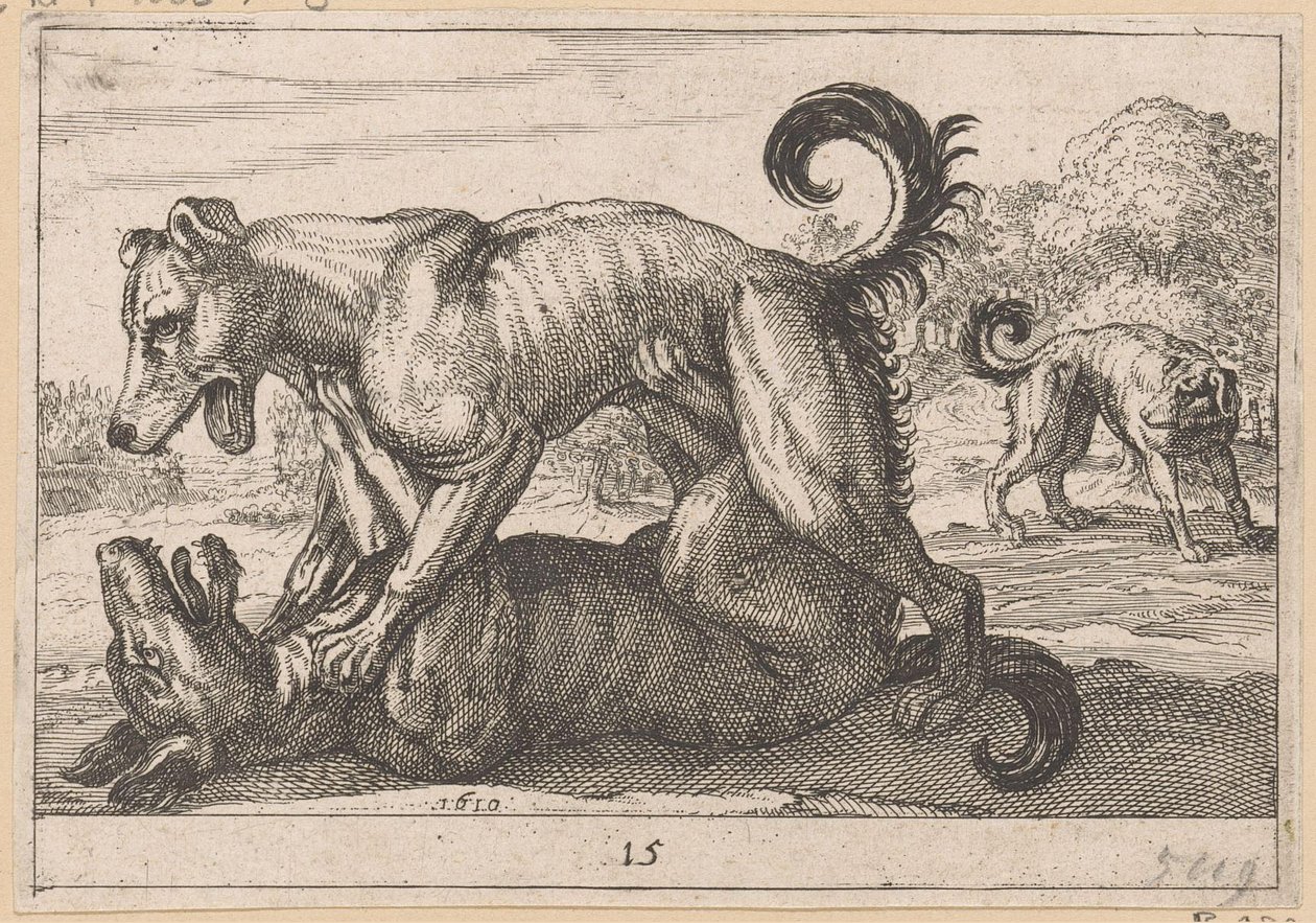 Dos perros de apareamiento y dos de pelea. Fighting Animals (copias) (título de la serie) de Anonymous