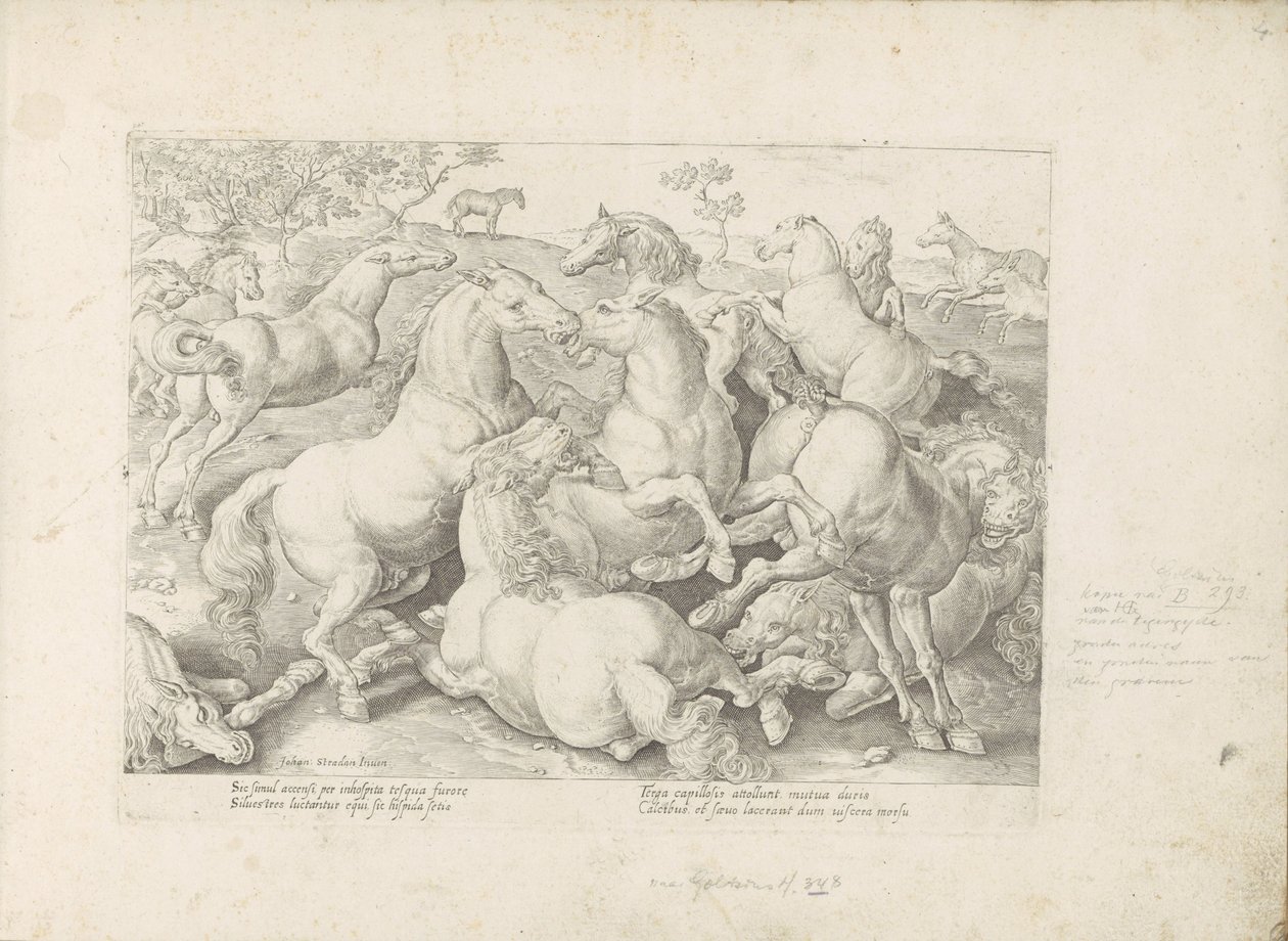 Vechtende paarden Un caballo, en el que se encuentra el más noble de todos los tipos: un personaje distinguido de caballos de varias partes del mundo seleccionados (...) (título de la serie sobre el objeto) de Anonymous