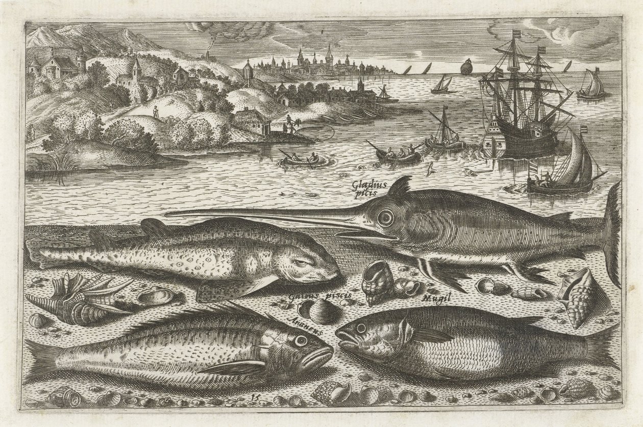 Cuatro peces en la playa
Fish (título de la serie)
Piscivm vivae icones (título de la serie) de Anonymous