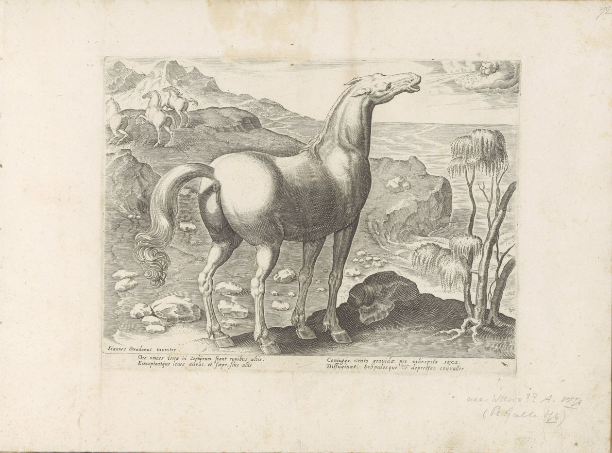 Viento del oeste bevrucht een merrie Paardenrassen uit de Koninklijke stallen van Don Juan van Oostenrijk (título de la serie) Un caballo, en el que se encuentra el más noble de todos los tipos: un personaje distinguido de caballos de varias partes del mun de Anonymous