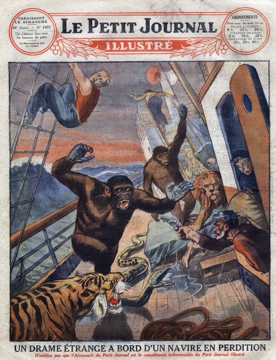 Drama sobre el transatlántico francés "Saint Etienne": gorilas, tigre, león y serpiente destinados a jardines zoológicos ingleses escaparon de su jaula y atacaron a los miembros de la tripulación. Grabado. Uno de "Le Petit Journal Illustré" de Anonymous Anonymous