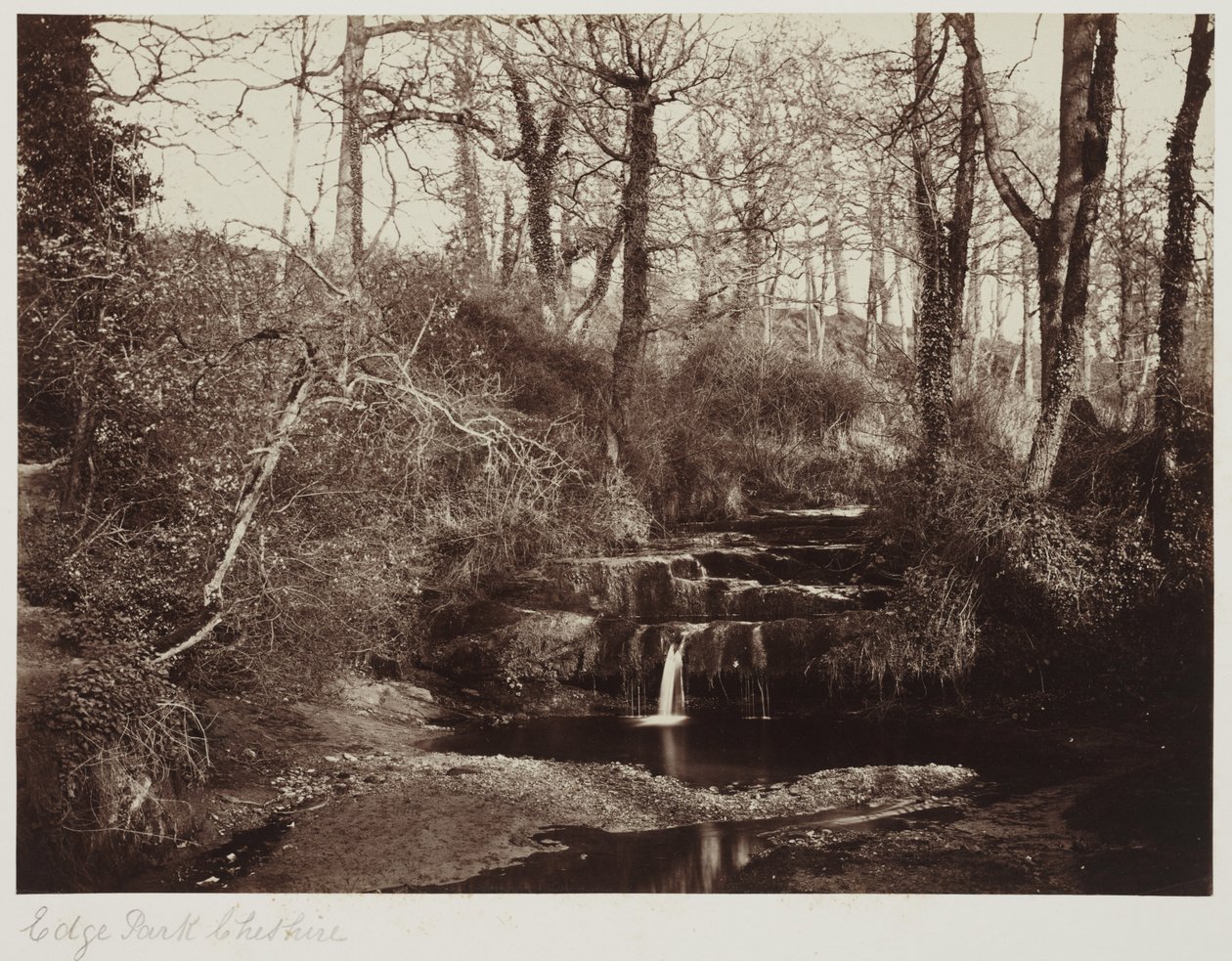 Edge Park, Cheshire, c.1865 (impresión a la albúmina a partir de negativo de cristal) de Anonymous Anonymous