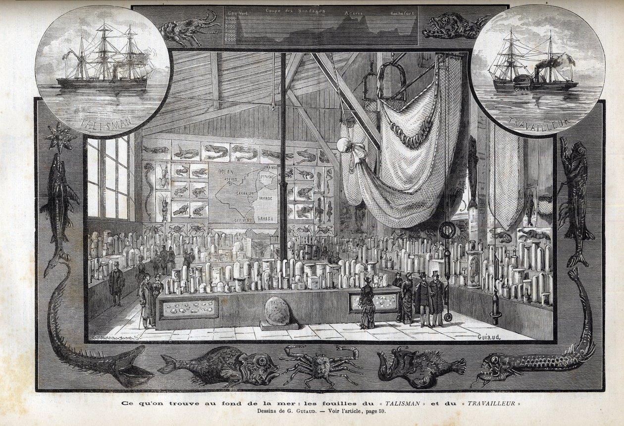 Exposición en el Museo de Historia Natural de París de las colecciones formadas durante los cruceros - Expediciones científicas del Trabajador y el Talismán durante los años 1880 de Anonymous Anonymous