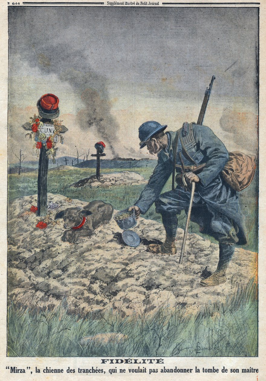 Primera Guerra Mundial 1914-1918. Un perro se niega a abandonar la tumba de su amo muerto en la trinchera. En “Le Petite Journal”, el 10/09/1916. Colección privada de Anonymous Anonymous