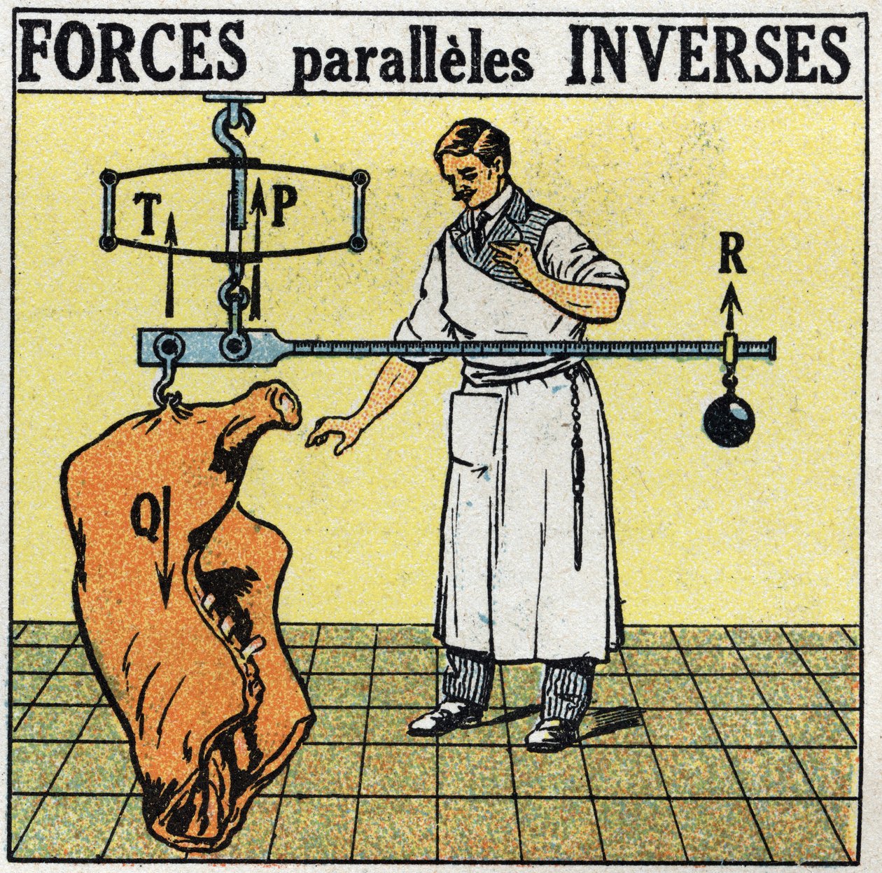 Fuerzas: fuerzas paralelas inversas. Un carnicero pesando una carcasa de carne con una balanza romana. Ilustración anónima de 1925. Colección privada. de Anonymous Anonymous