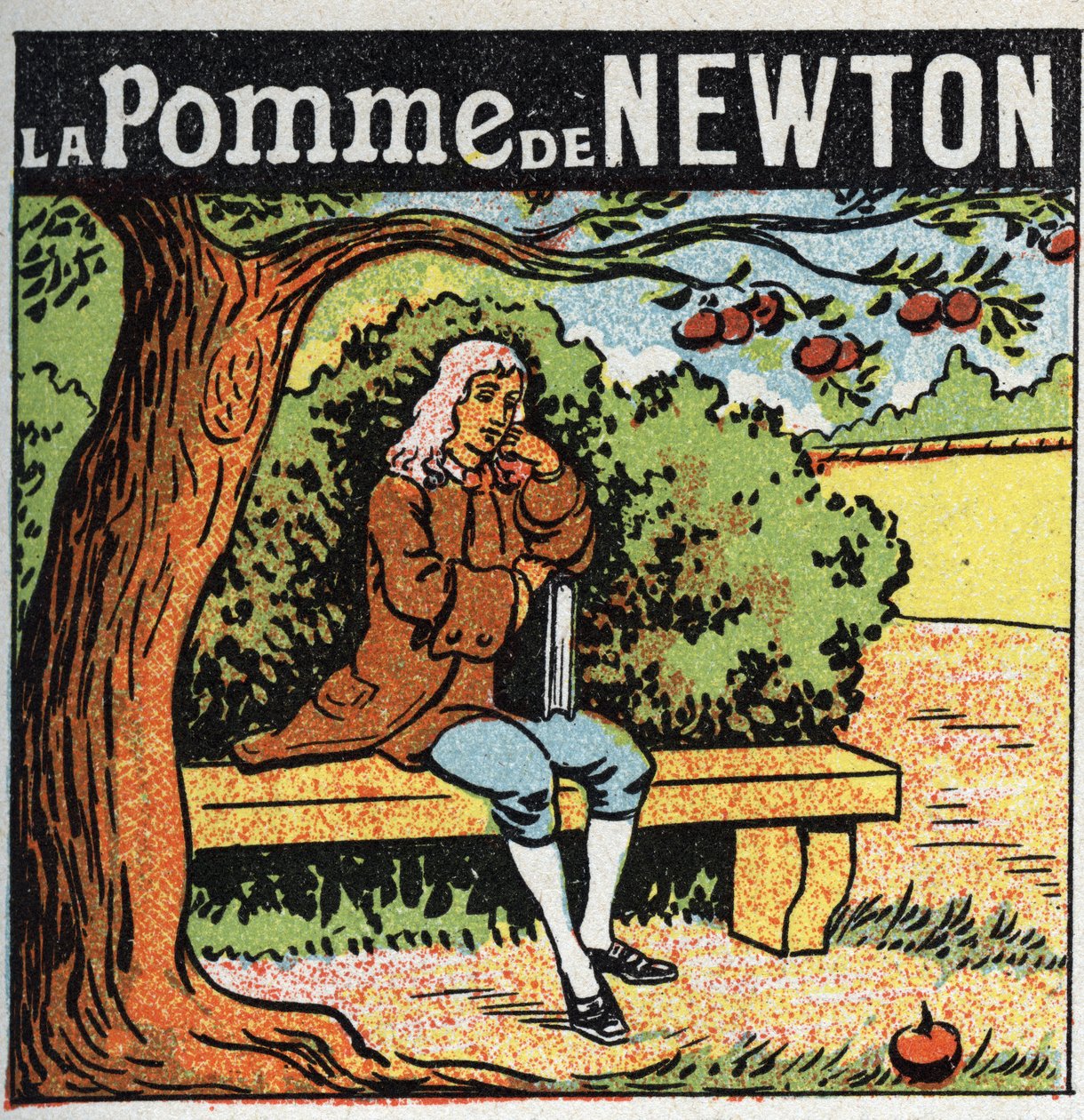 Gravitación: la manzana de Newton. Isaac Newton (1642-1727) observa una manzana caer de un manzano y descubre las leyes de la gravedad terrestre. Ilustración anónima de 1925. Colección privada. de Anonymous Anonymous