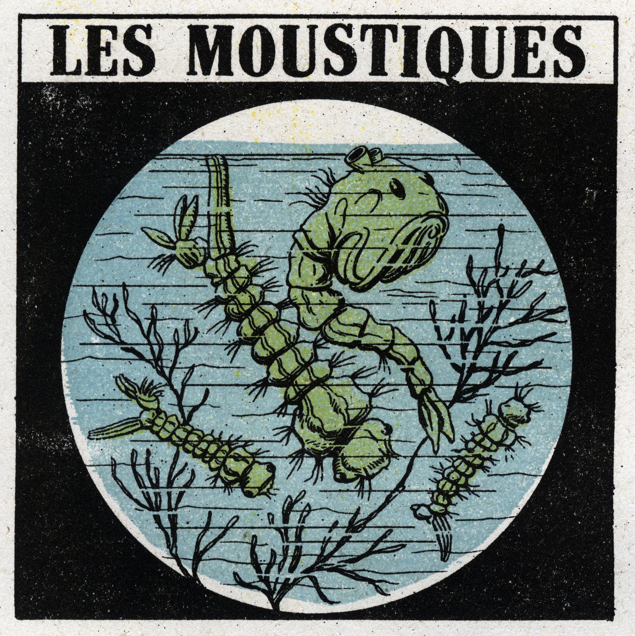Proyección de luz: uso de una linterna de proyección para observar larvas de mosquitos. Ilustración anónima de 1925. Colección privada. de Anonymous Anonymous
