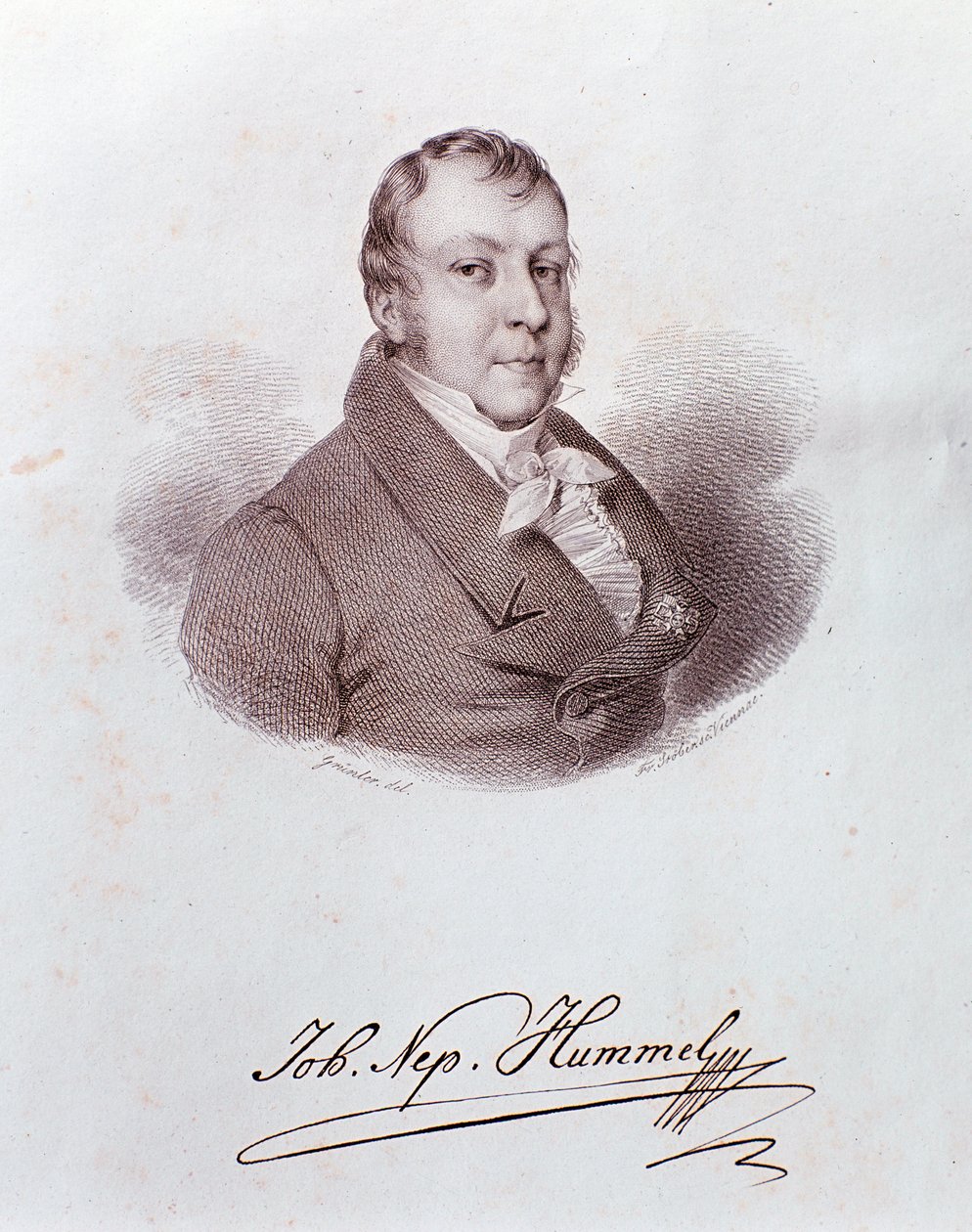 Retrato de Johann Nepomuk Hummel de Anonymous Anonymous