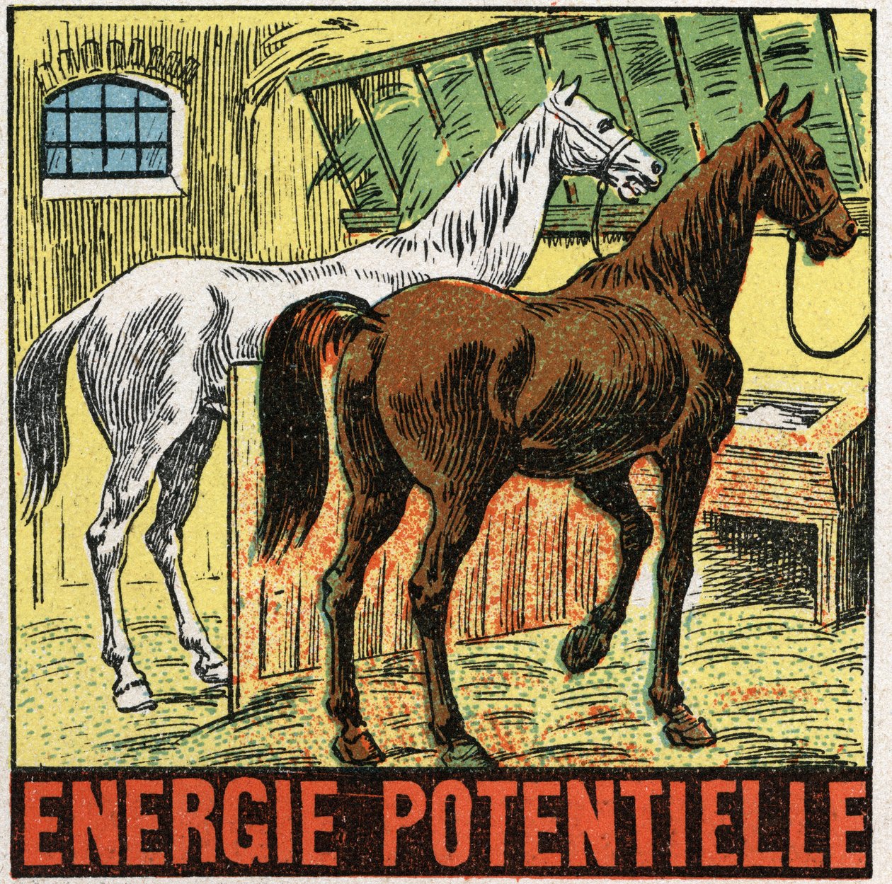 Energía potencial: caballos descansando en un establo. Ilustración anónima de 1925. Colección privada. de Anonymous Anonymous