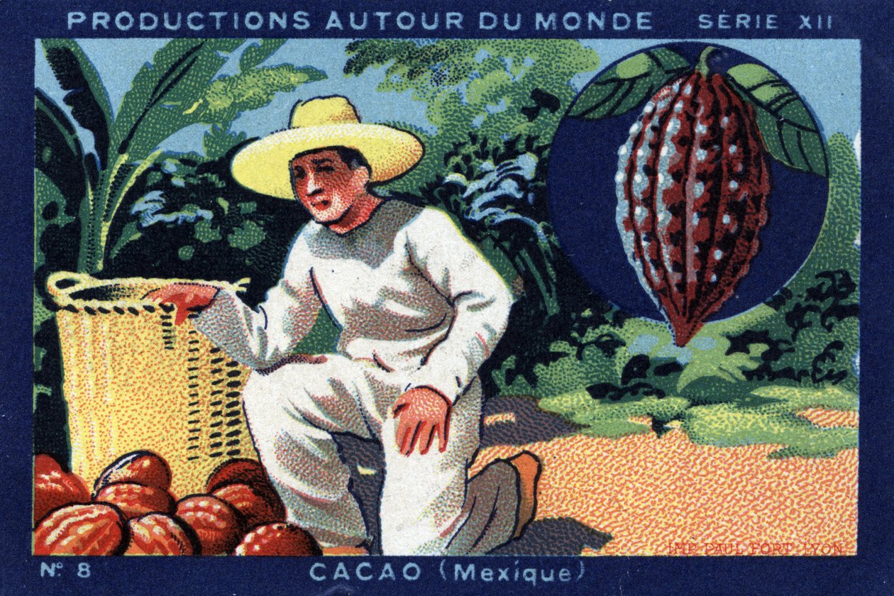 Producciones alrededor del mundo: Cacao en México. Cromolitografía de 1933 en “Álbum Joseph-Milliat” de Anonymous Anonymous