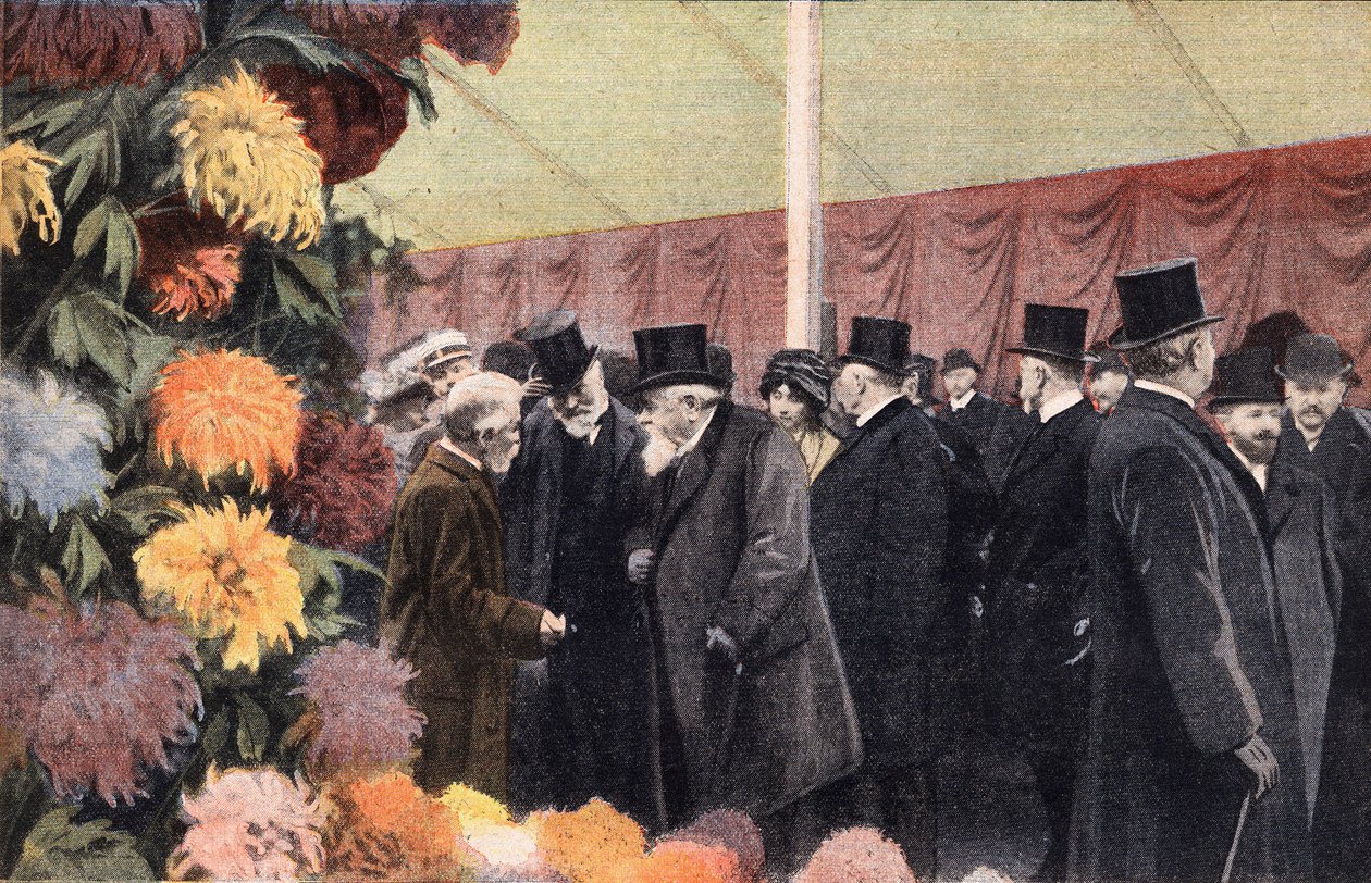 La fiesta del crisantemo: exposición oficial de crisantemos. Grabado. Uno de los periódicos Le petit parisien del 20/11/1910. Colección privada de Anonymous Anonymous