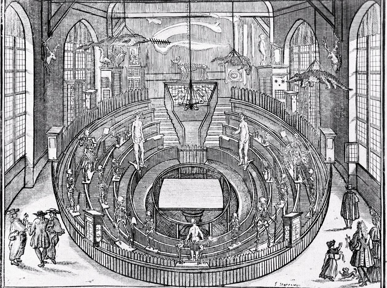 Vista de un teatro anatómico probablemente en la Universidad de Leiden a principios del siglo XVII (grabado) de Anonymous Anonymous