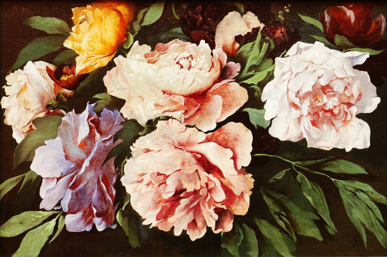 Peonías de Anselm Feuerbach