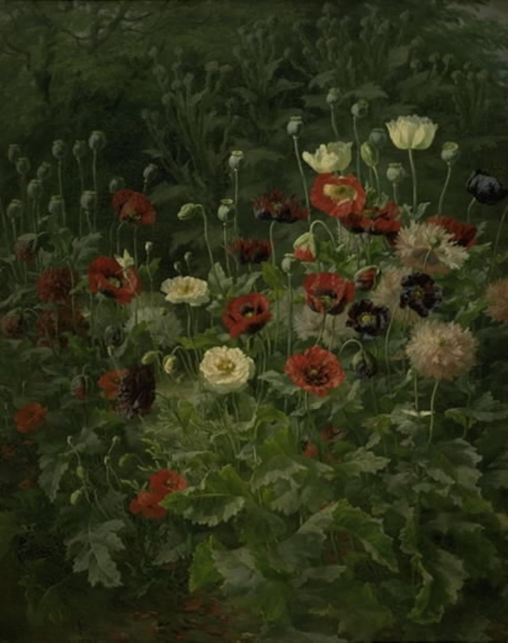 Amapolas de Anthonie Christensen
