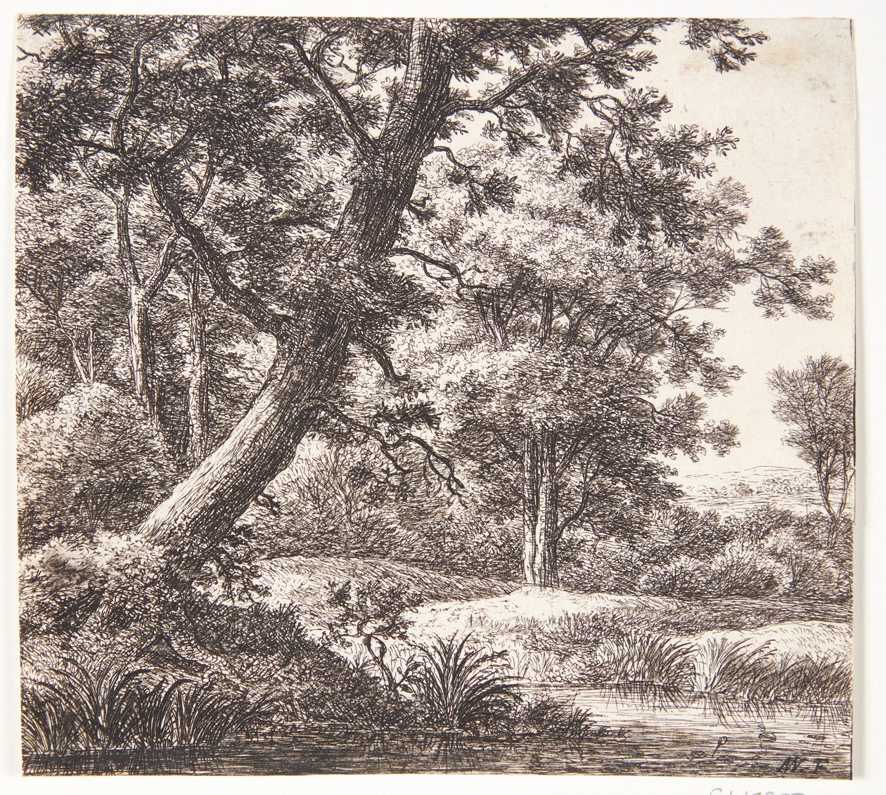 Arroyo con un árbol inclinado de Anthonie Waterloo