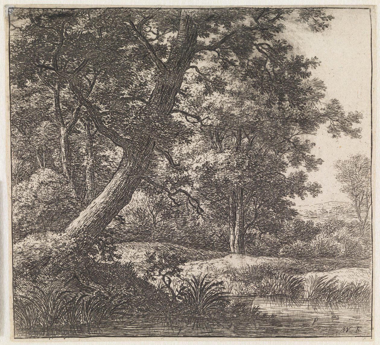 Árbol crecido torcido de Anthonie Waterloo